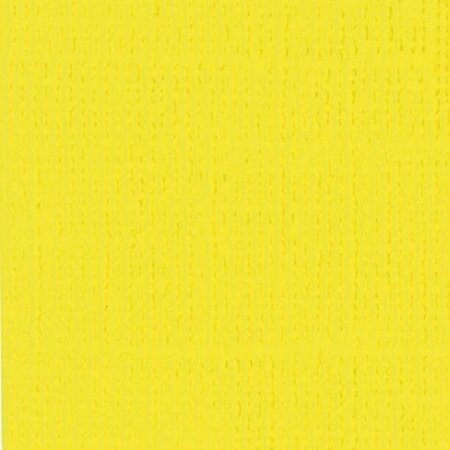 Papier texture toile Sunbeam 30,5 cm - Bazzill Basics paper