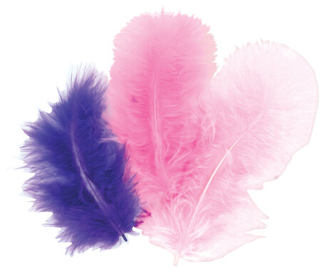 Plumes Assortiment violet 10 cm 50 pièces