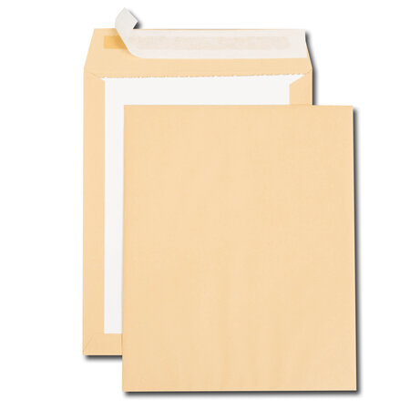Lot de 100 Pochettes dos carton, C4, 229 x 324 mm, kraft brun