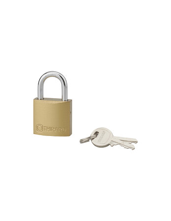 THIRARD - Cadenas à clé Type 1 UNIKEY (achetez-en plusieurs  ouvrez avec la même clé)  30mm  2 clés