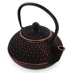 Théière en fonte chinoise Sui - 0 8 L
