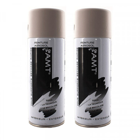 Lot de 2 bombes de peinture - gris clair mat - amt