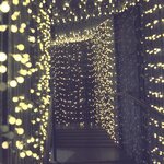LUMI JARDIN Guirlande lumineuse a boule solaire Billy Solar - Lumiere blanc - 60 boules - 700 cm