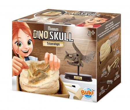 Museum dino skull - tricératops