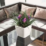 LECHUZA Jardinière Quadro 35 LS ALL-IN-ONE Blanc brillant 16160