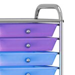 vidaXL Chariot de rangement mobile à 10 tiroirs Multicolore Plastique
