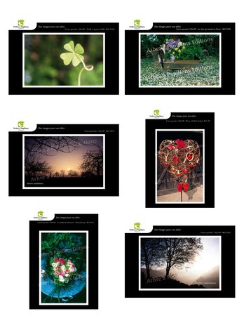 Lot de 6 cartes postales - voeux 3 - photos frédéric engel